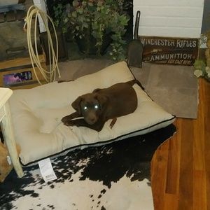 Meet your Posher, Michele